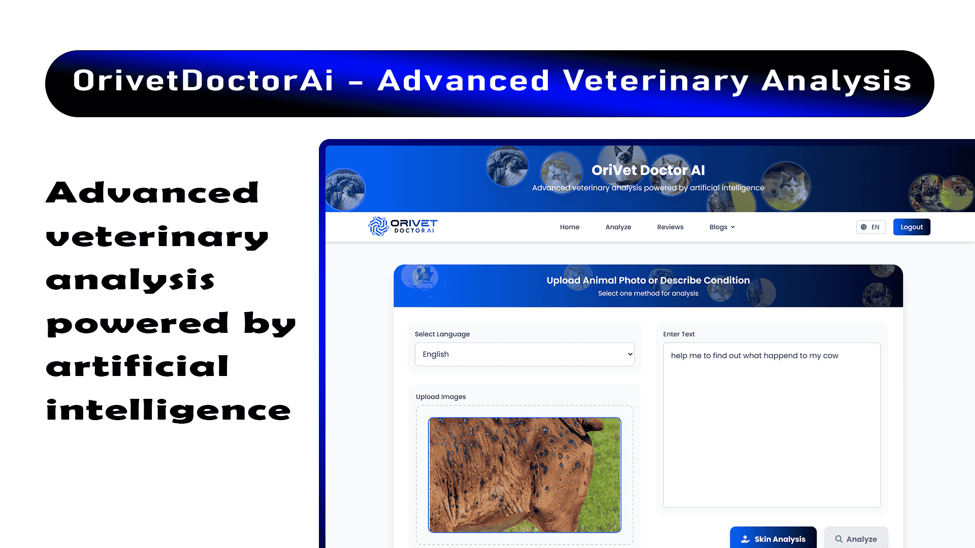 OrivetDoctorAi - Advanced Veterinary Analysis Laravel and Reactjs ...